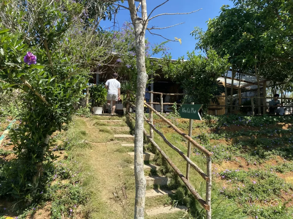 The Florest Hoa Trong Rung Da Lat5 1024x768