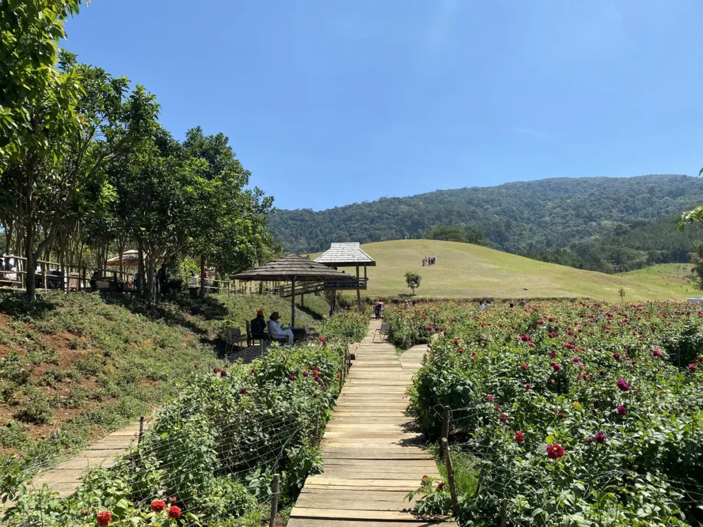 The Florest Hoa Trong Rung Da Lat6 1024x768