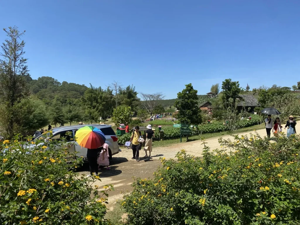 The Florest Hoa Trong Rung Da Lat7 1024x768