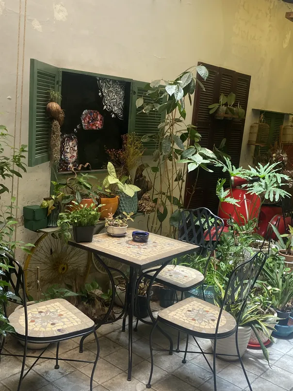 Mola coffee 5