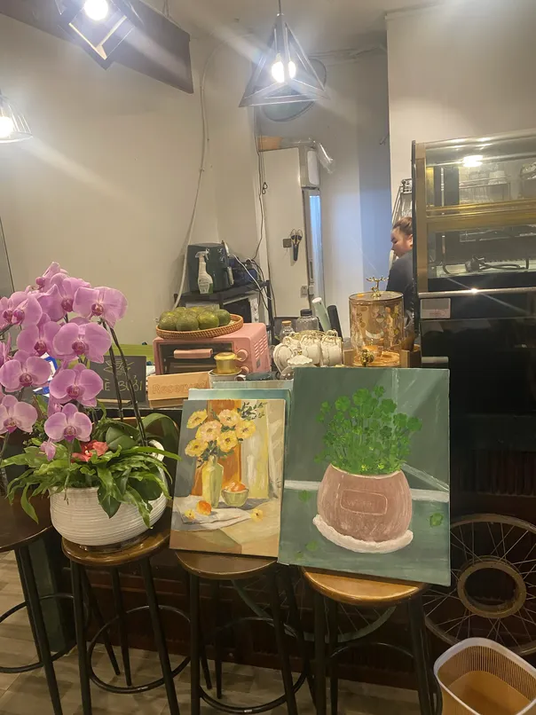 Mola coffee 6