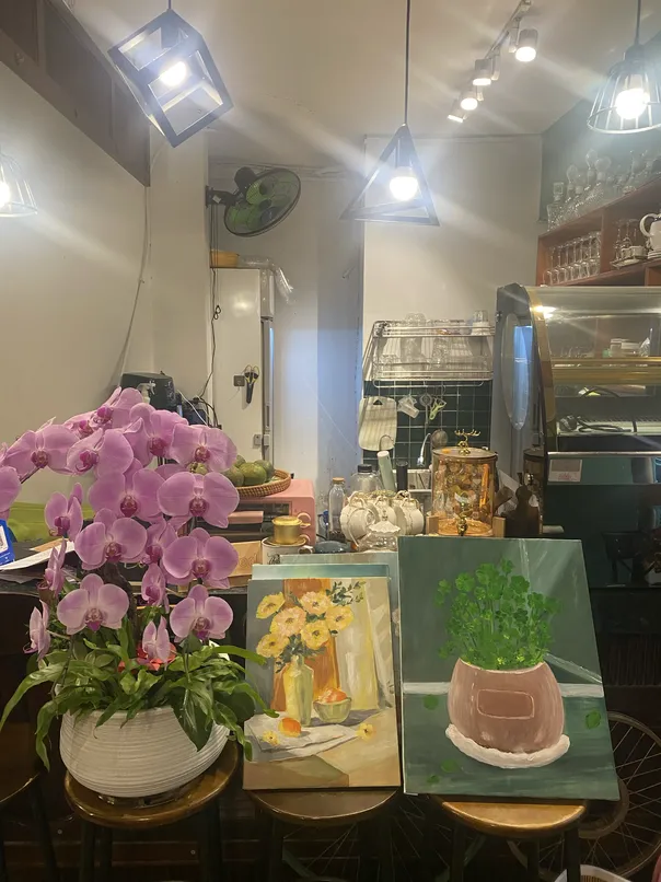 Mola coffee 7