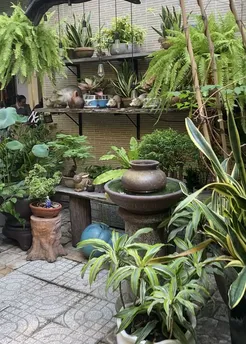 Cafe Suoi Da