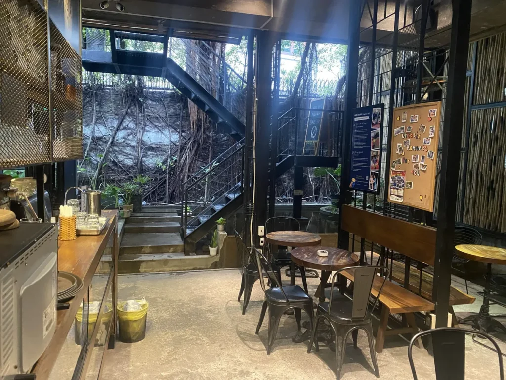 Dolphy Cafe 113 Duong Van An 6 1024x768