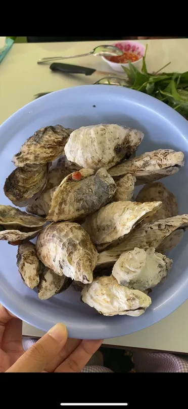 Quan Hau Chi Oanh 5