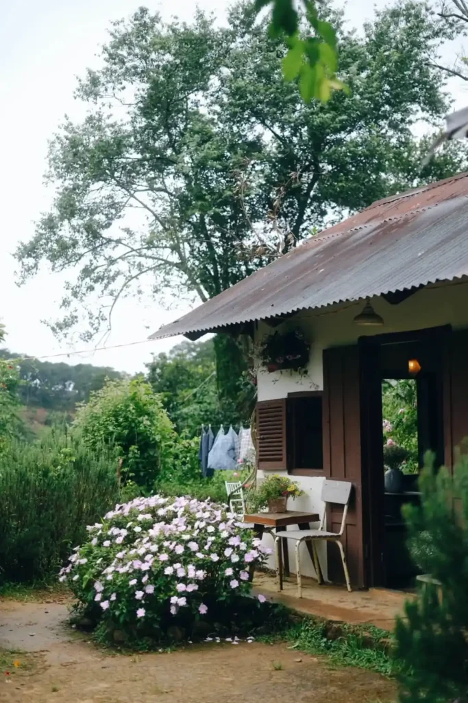 Cay Cam Ngot Da Lat 7 2 683x1024