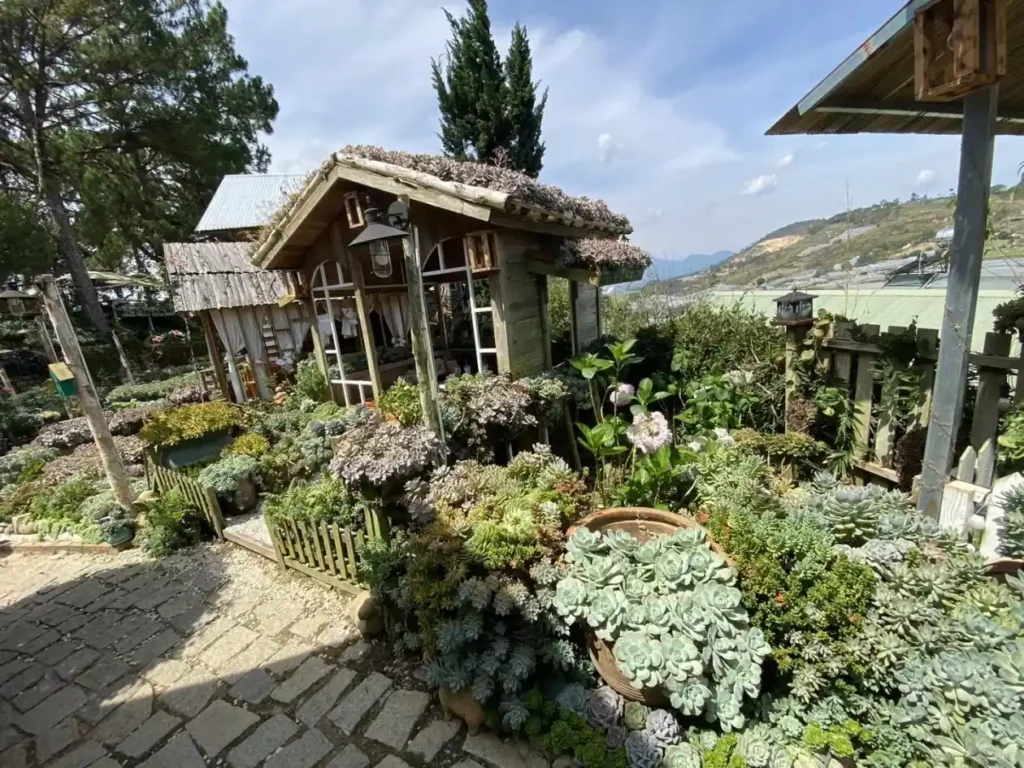 Ixora Homestay Coffee Da Lat 9 1 1024x768