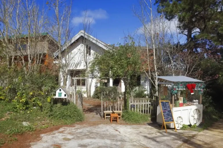 Ngoi Nha La Phong Da Lat 1 1 768x512